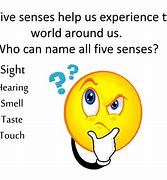 Image result for Five Senses Sight