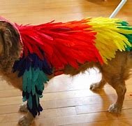 Image result for Hilarious Halloween Dog Costumes