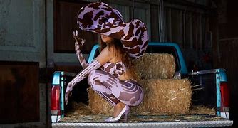 Image result for Beyoncé New Ivy Park Horse