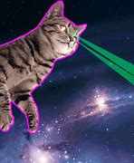 Image result for Laser Crazy Cat