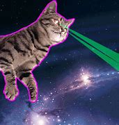 Image result for space cat with laser