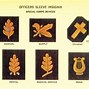 Image result for US Navy Insignia