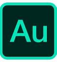 Image result for AU Adobe Icon