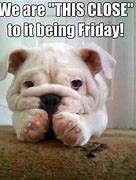 Image result for Almost Friday Images Funny