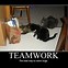 Image result for Funny Inspiring Cat Posters