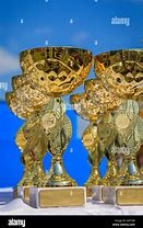 Image result for Gold Cup Trophy