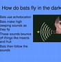 Image result for Bats Science