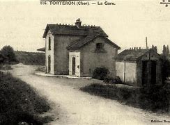 Image result for torteron