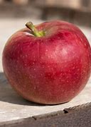 Image result for Paula Red Apples