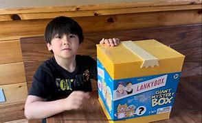 Image result for Lankybox Giant Mystery Box