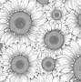 Image result for Black and White Floral Art Wallpaper