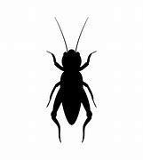 Image result for Cricket Bug Silhouette