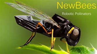 Image result for Robot Pollinators