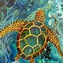 Image result for Fluid Acrylic Pour Painting