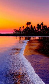 Image result for sunset beach iphone wallpapers