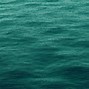 Image result for Deep Sea Green Background Portrait