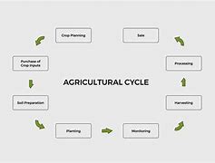 Image result for Different Stages of Agriculture