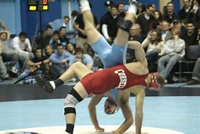 Image result for Wrestling People