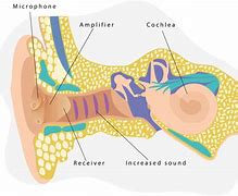 Image result for Hearing Aid Buying Guide