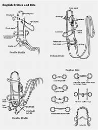 Image result for Horse Bit Severity Chart