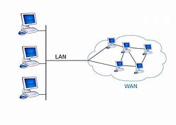 Image result for Wan Types