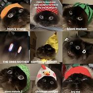 Image result for Smol Cat Meme