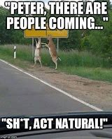 Image result for Nature Memes Funny
