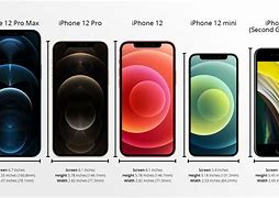Image result for iPhone 12 Series Comparison