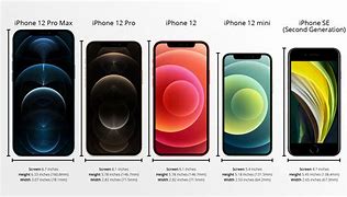 Image result for iPhone 12 vs iPhone 14 Size