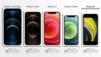 Image result for iPhone SE vs 12 Mini Size