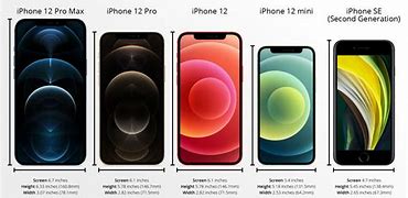 Image result for iPhone 12 Dimensions Review