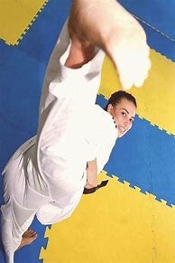 Image result for Woman Karate Kick Face
