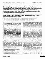 Image result for Molluscum Contagiosum Virus MCV