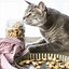 Image result for Homemade Cat Treats Recipes Easy