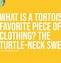 Image result for Funny Turtle Jokes
