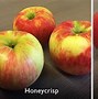 Image result for Sweet Yellow Apple's