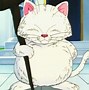 Image result for Talking Cat Anime