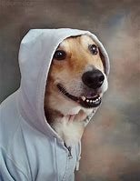 Image result for Hoodie Dog Meme