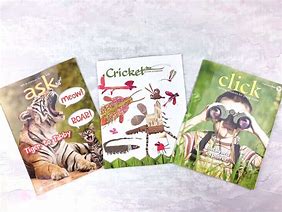 Image result for Cricket Magazine Publications