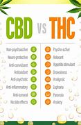 Image result for CBD THC