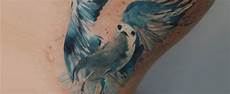 tatuaggio gabbiano significato tatuaggio gabbiano oltre 45 idee a tatuaggio gabbiano significato tatuaggio gabbiano oltre 45 idee a