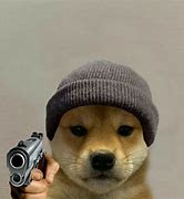 Image result for Dog with Hat Meme Profile Pic
