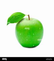 Image result for Stem Leaf Apple