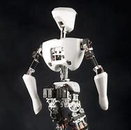 Image result for Autonomous Humanoid Robots