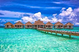 Image result for maldive