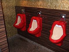 Image result for Funny Toilet Bowl