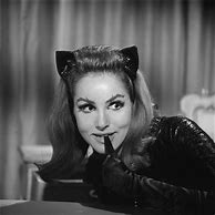 Image result for Bewitched Catwoman
