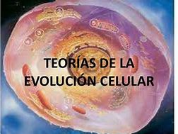 Image result for La Teoria Celular