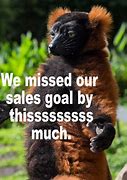 Image result for Motivational Sales Memes