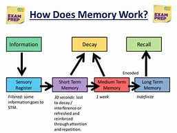 Image result for How Does Memory Work